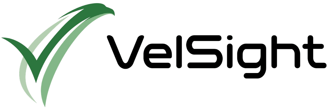 VelSight